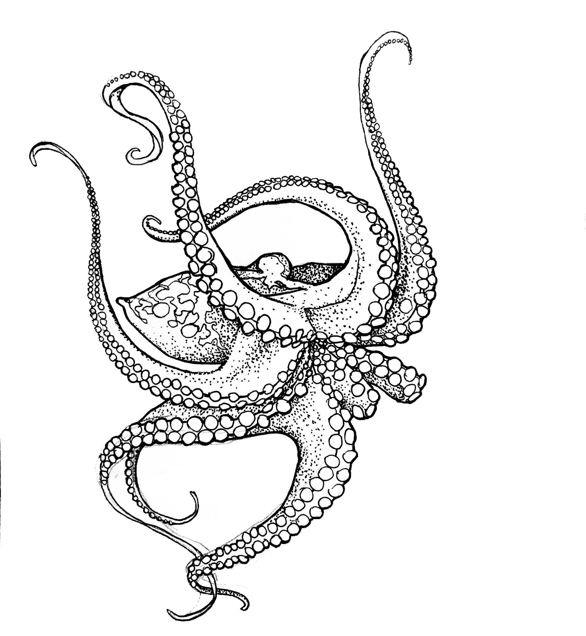 2000x2171 Pointillism Octopus Original Drawing Anotherera Tictail