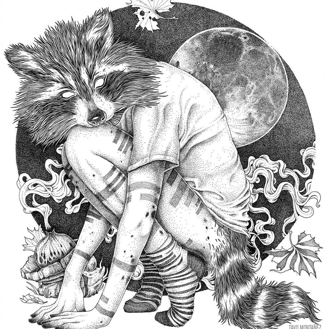 1080x1080 Raccoon Done More Pics