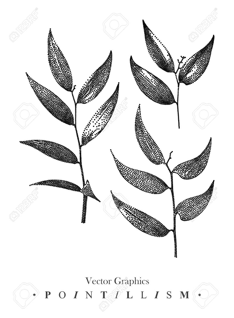 959x1300 Vector Illustration With Set Of Branches And Leaves Drawn By
