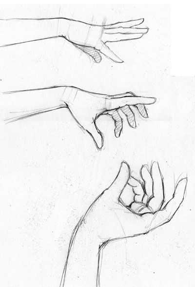 400x589 Drawn Hand Gesture Left Hand Drawing