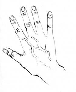 251x302 How To Draw Realistic Hands, Draw Hands, Step By Step, Hands