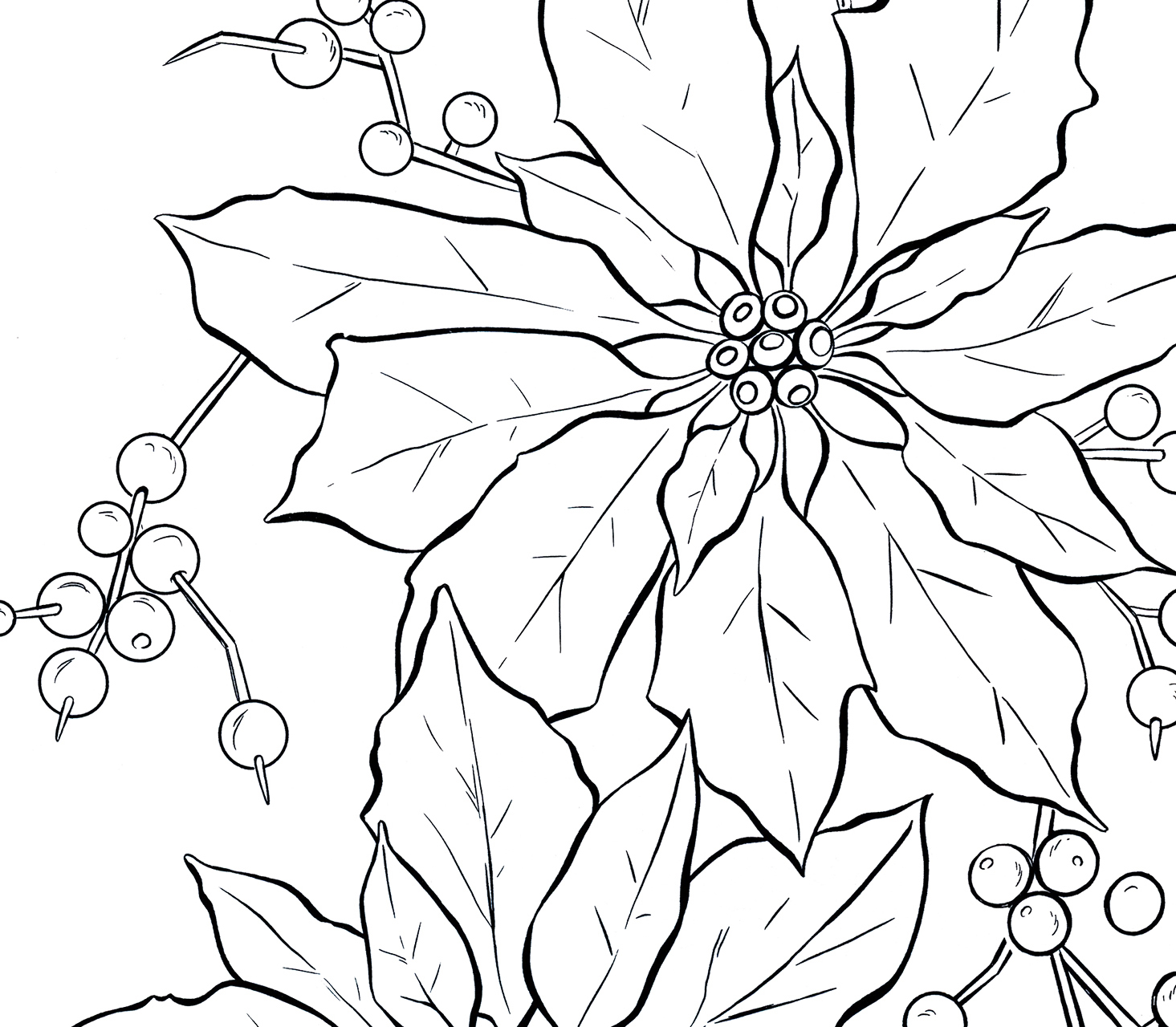 1465x1280 Poinsettia Line Art