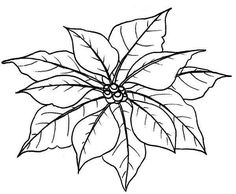 236x194 Poinsettia Single Christmas Collection Poinsettia