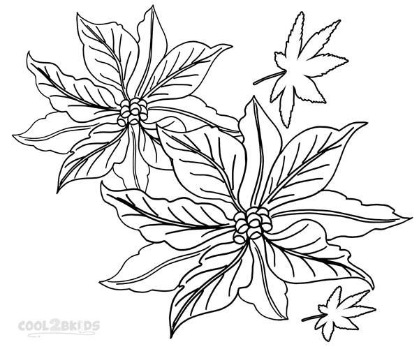 600x500 Printable Poinsettia Coloring Pages For Kids Cool2bkids