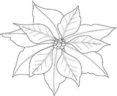 236x195 Blooming Poinsettia Coloring Page. Use For Tissue Paper Art
