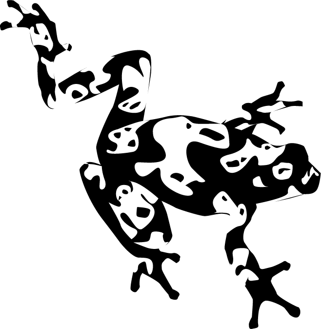 658x674 Poison Dart Frog By Ienvincible