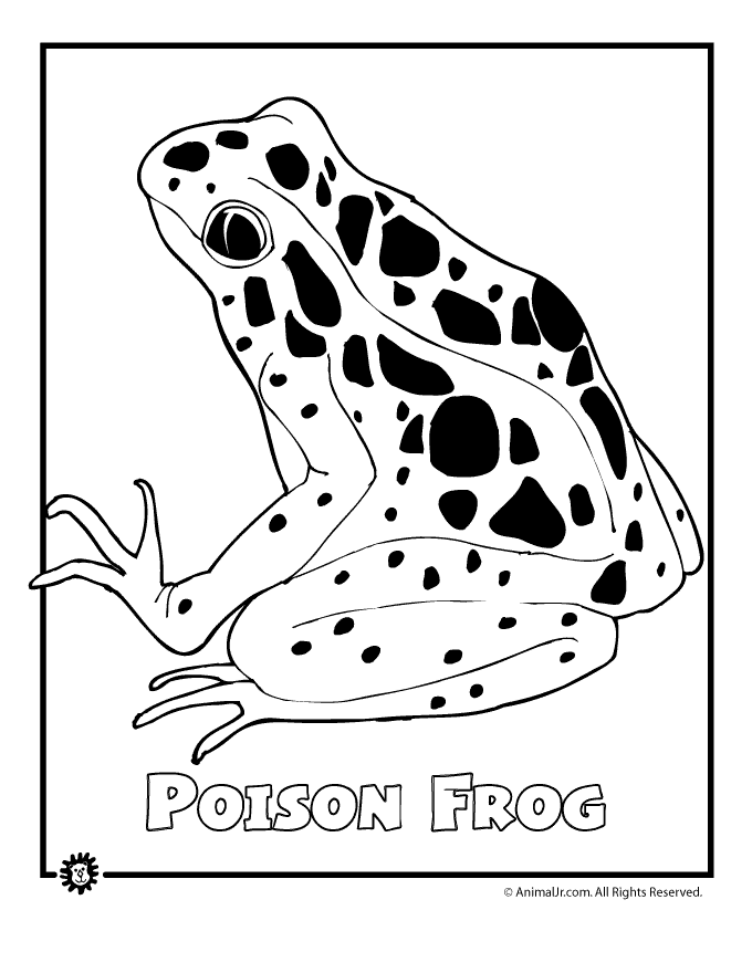 680x880 Endangered Rainforest Frog Animal Jr.