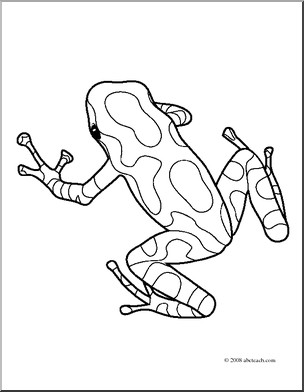 304x392 Clip Art Frogs Green Amp Black Poison Dart Frog (Coloring Page