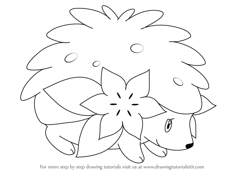 800x565 Learn How To Draw Shaymin From Pokemon (Pokemon) Step By Step