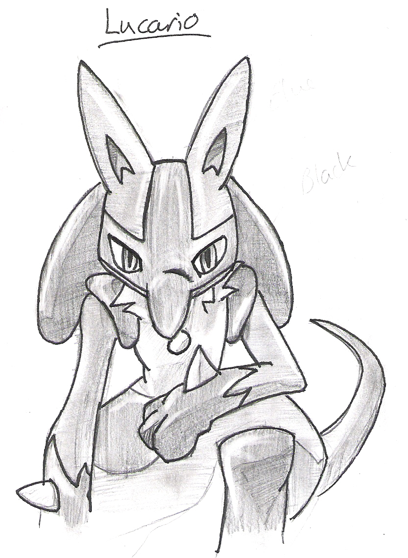 832x1136 Lucario Pencil Sketch By Obrael