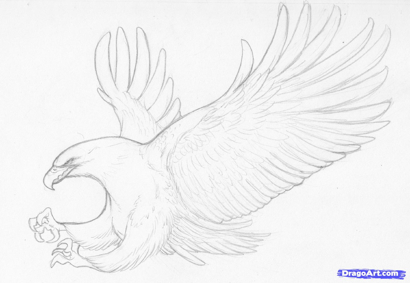 1400x967 Easy Pencil Drawings With Steps How To Sketch An Eagle In Pencil