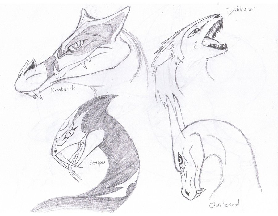 900x699 Pokemon Xy Sketches By Brian12. Best Easy Fighter Pokemon Pencil