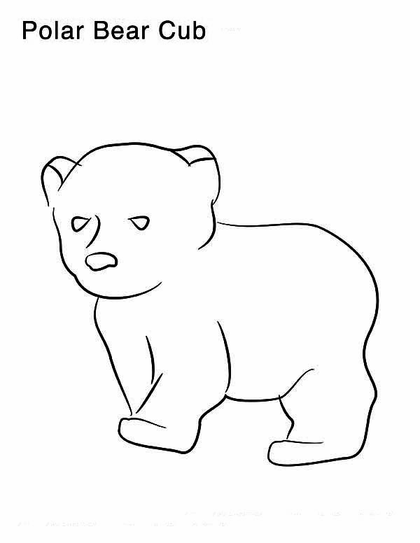 600x776 Coloring Pages Draw A Polar Bear Cartoon Polar Bear Coloring Pages