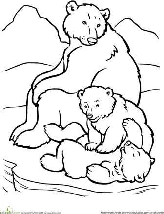 336x440 Bear Cub Clipart Animal Family