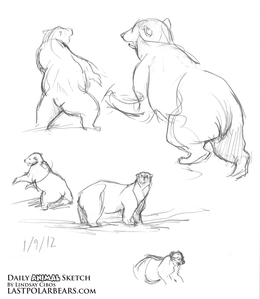 868x1000 Contentuploads201201