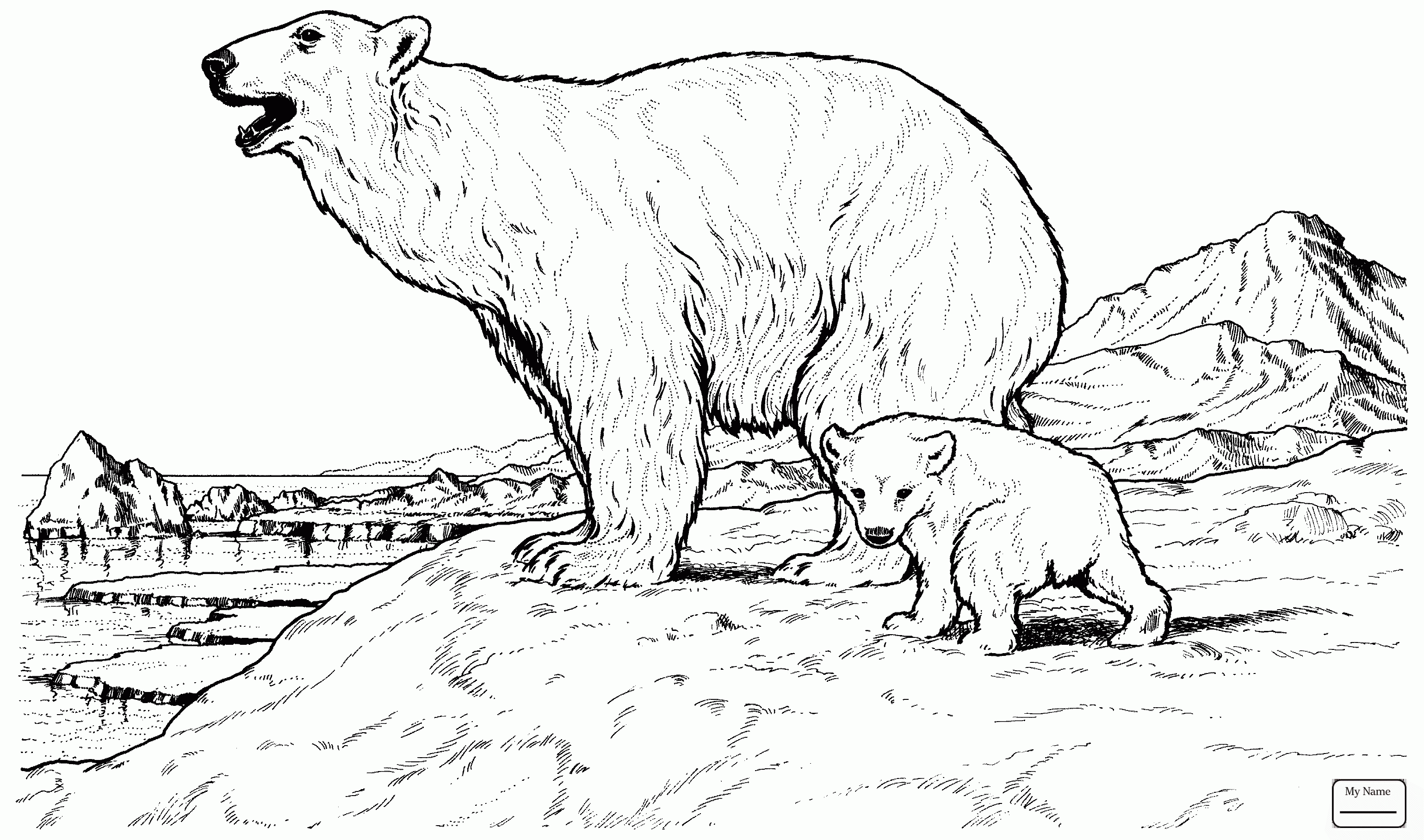 3078x1816 Polar Bears