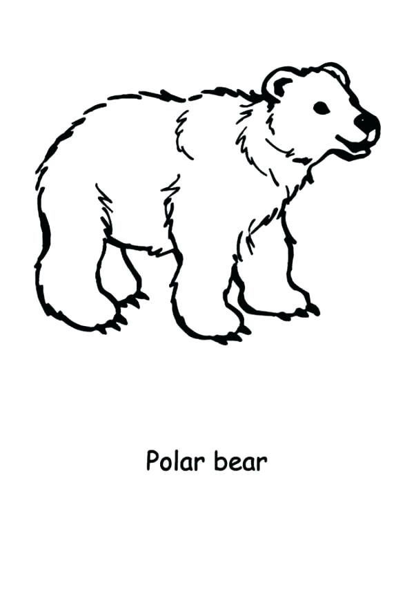 600x860 Excellent Polar Bear Coloring Page Print Bears Pages Printable
