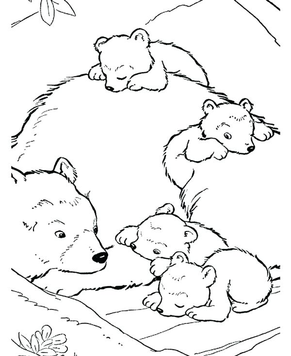 600x734 Free Outline Pictures For Coloring Polar Bear Drawing Bears Pages