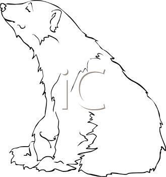 329x350 Image Result For Sitting Polar Bear Drawings Illustration