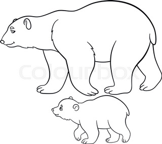 320x285 Polar Bear 1 Stock Vector Colourbox