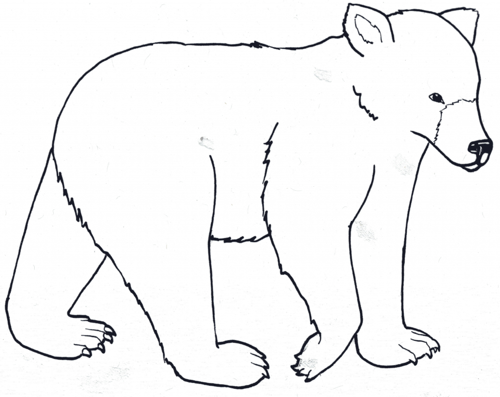 1024x812 Simple Bear Drawings