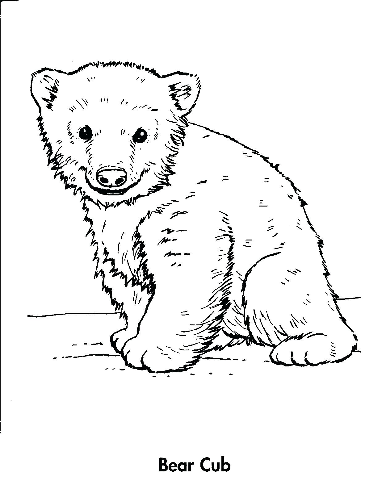 1250x1610 Coloring Coloring Page Polar Bear