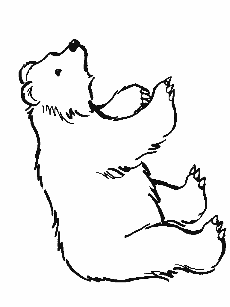 768x1024 Drawing Coloring Polar Bear ~ Child Coloring