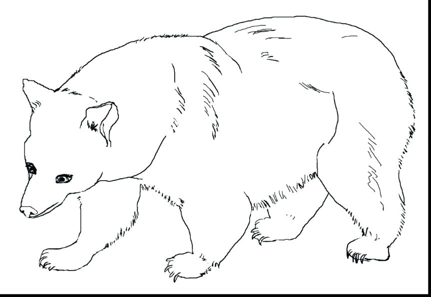 863x595 Polar Bear Coloring Pages For Preschoolers Baby Lovely Color Page
