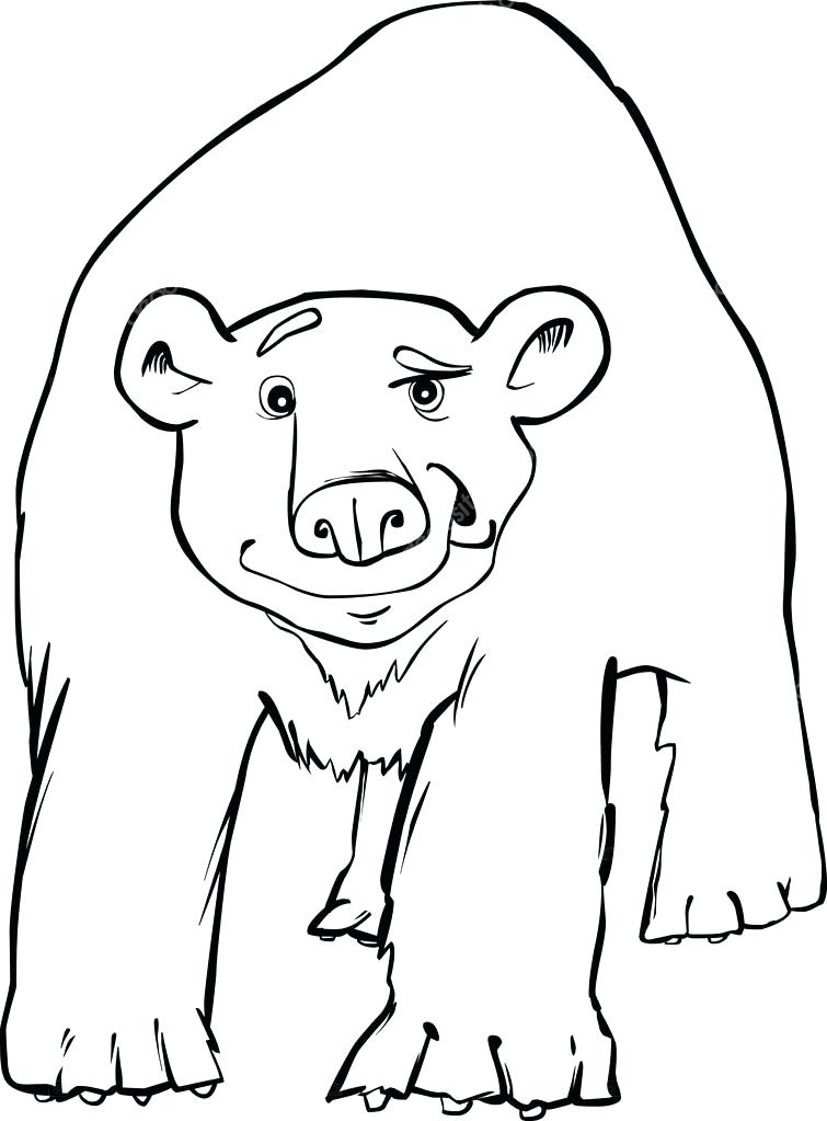 755x1023 Polar Bear Coloring Pictures Penguin Cute Polar Bear Coloring