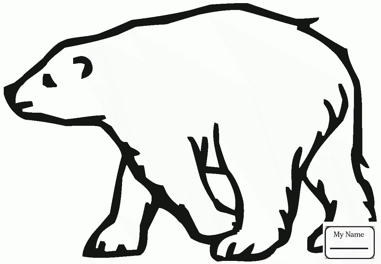 1224x848 Polar Bears