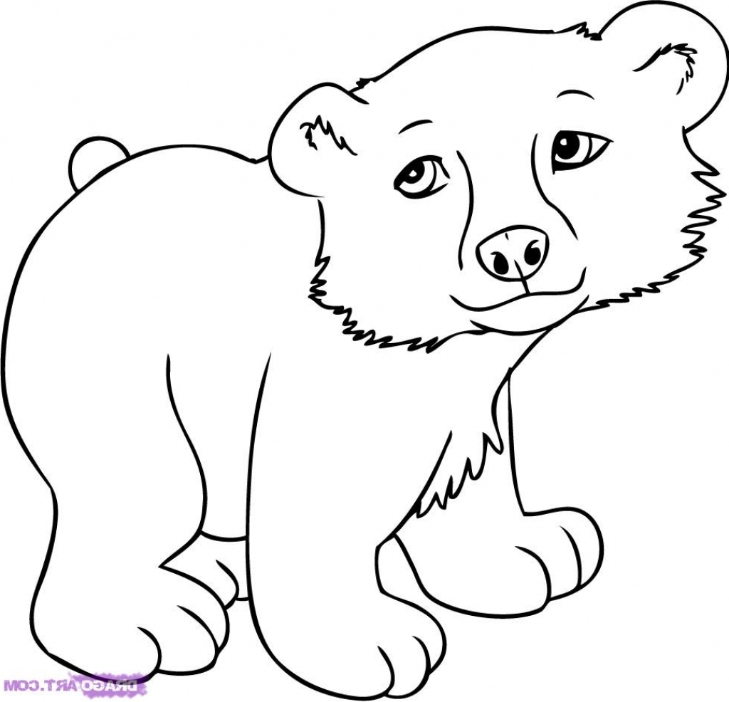 1024x986 Animals Pictures Drawing How To Draw A Cartoon Polar Bear Step