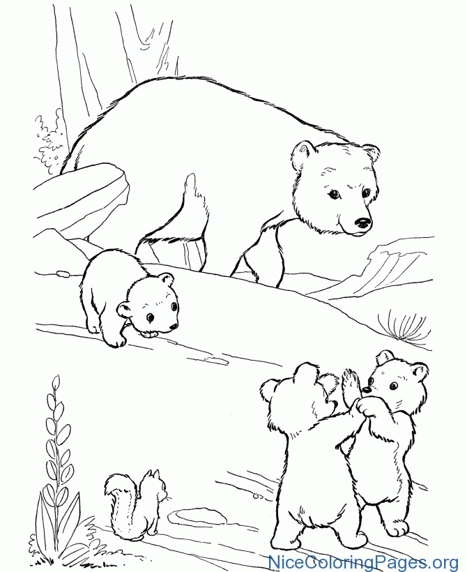 670x820 How To Draw Bear Step By Step