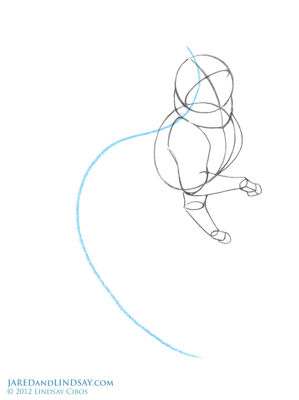 598x800 How To Draw An Arctic Fox Last Of The Polar Bears