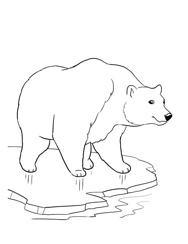 600x776 Cute Baby Polar Bear Coloring Pages For Kids 3