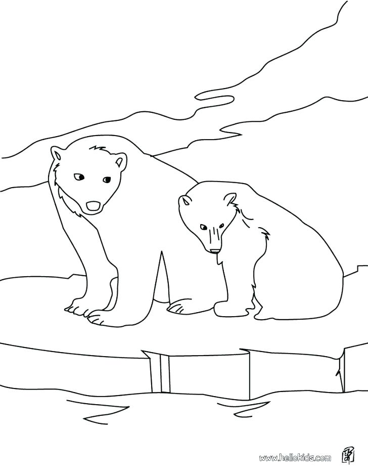728x941 Black Bear Coloring Pages Standing Black Bear Drawing Louisiana