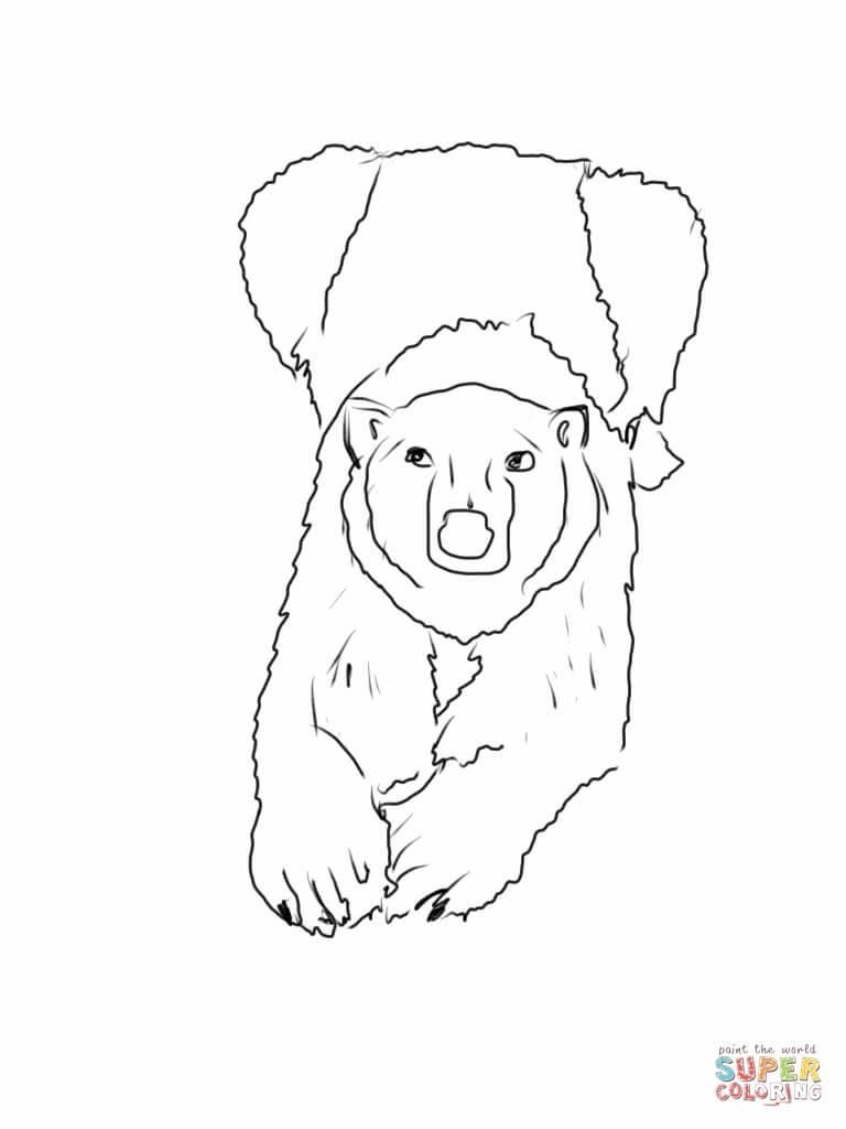 768x1024 Mother Polar Bear Lying Down And Facing Us Coloring Page Free