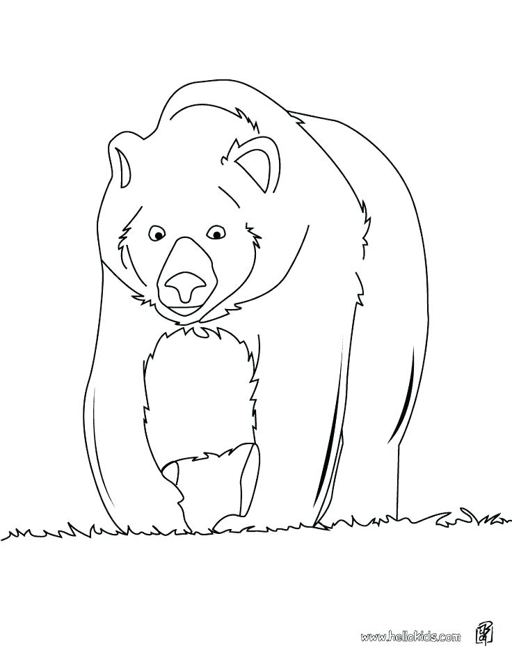 736x951 Bear Face Coloring Page Free Brown Bear Coloring Pages Big Page