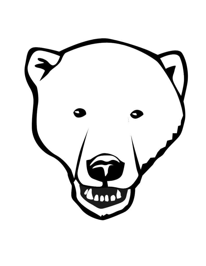 791x1023 Coloring Pages Elegant Coloring Pages Draw A Polar Bear Coloring