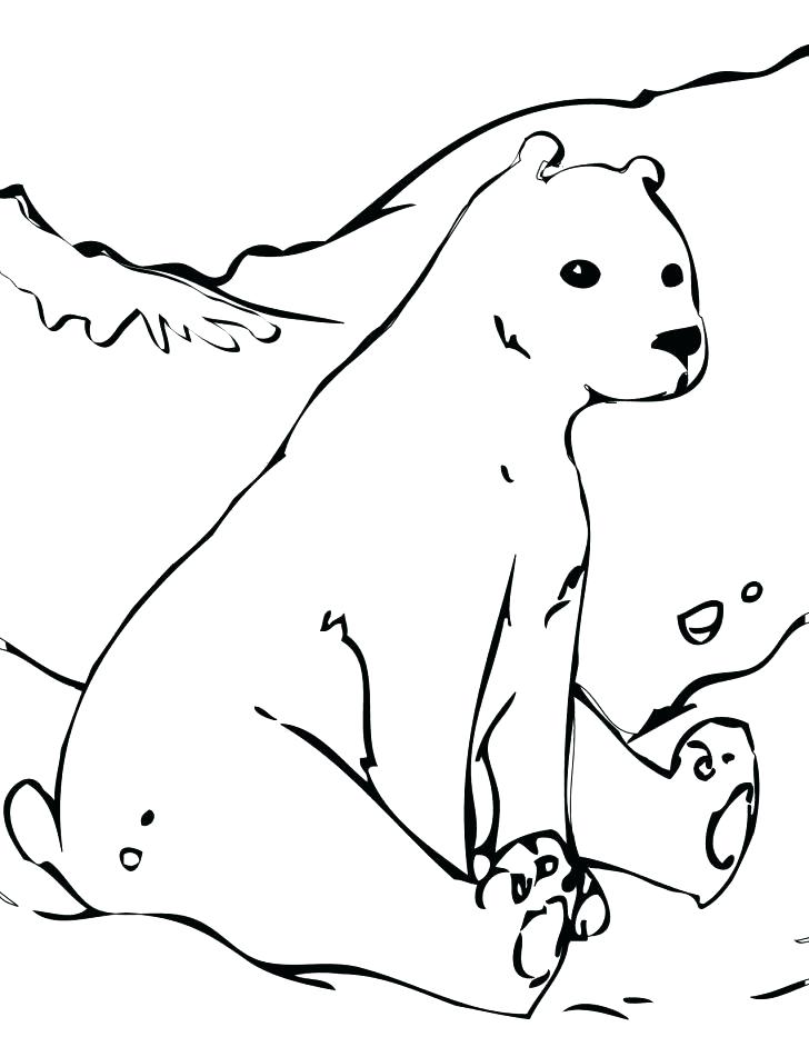 728x942 Coloring Pages Of Polar Bears Marvellous Polar Bear Coloring Pages