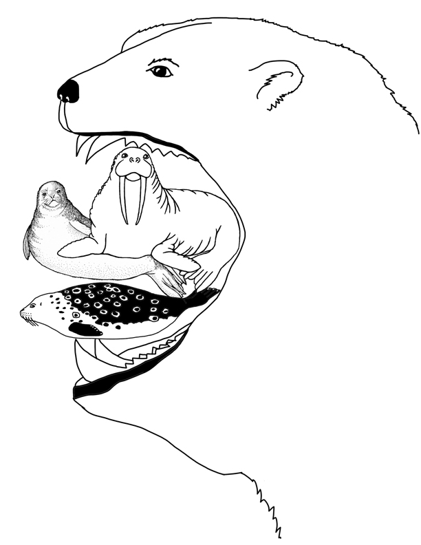 612x792 Do Polar Bears Eat Foldable Activity