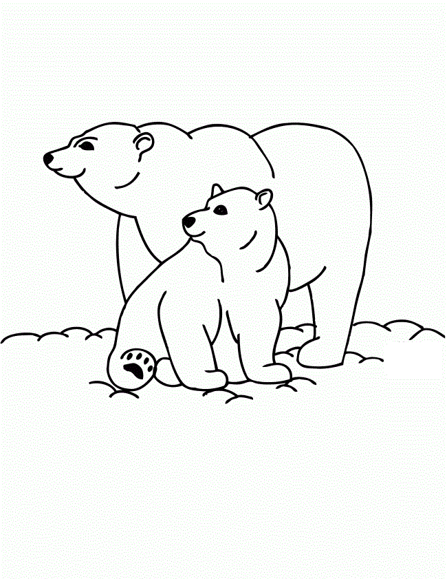 650x841 Polar Bear Cubs And Mother Drawing