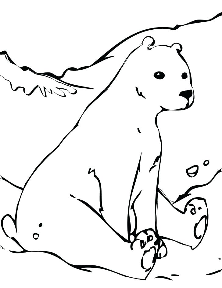 Polar Bear Outline Drawing at GetDrawings | Free download