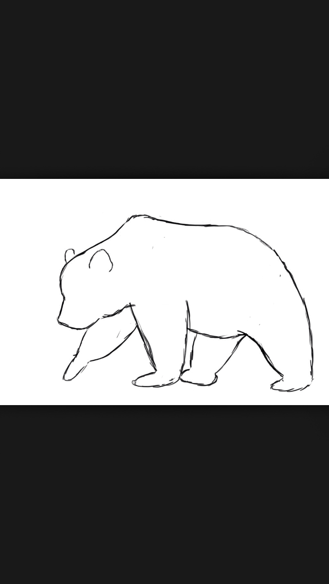 640x1136 How To Draw A Bear Bears And Tattoo