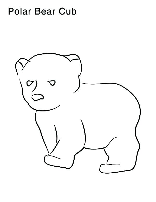 600x776 Polar Animal Coloring Pages As Arctic Animals Coloring Pages