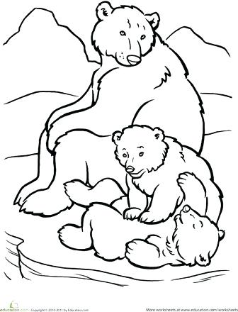 336x440 Top Rated Polar Bear Coloring Pages Images Polar Bear Coloring