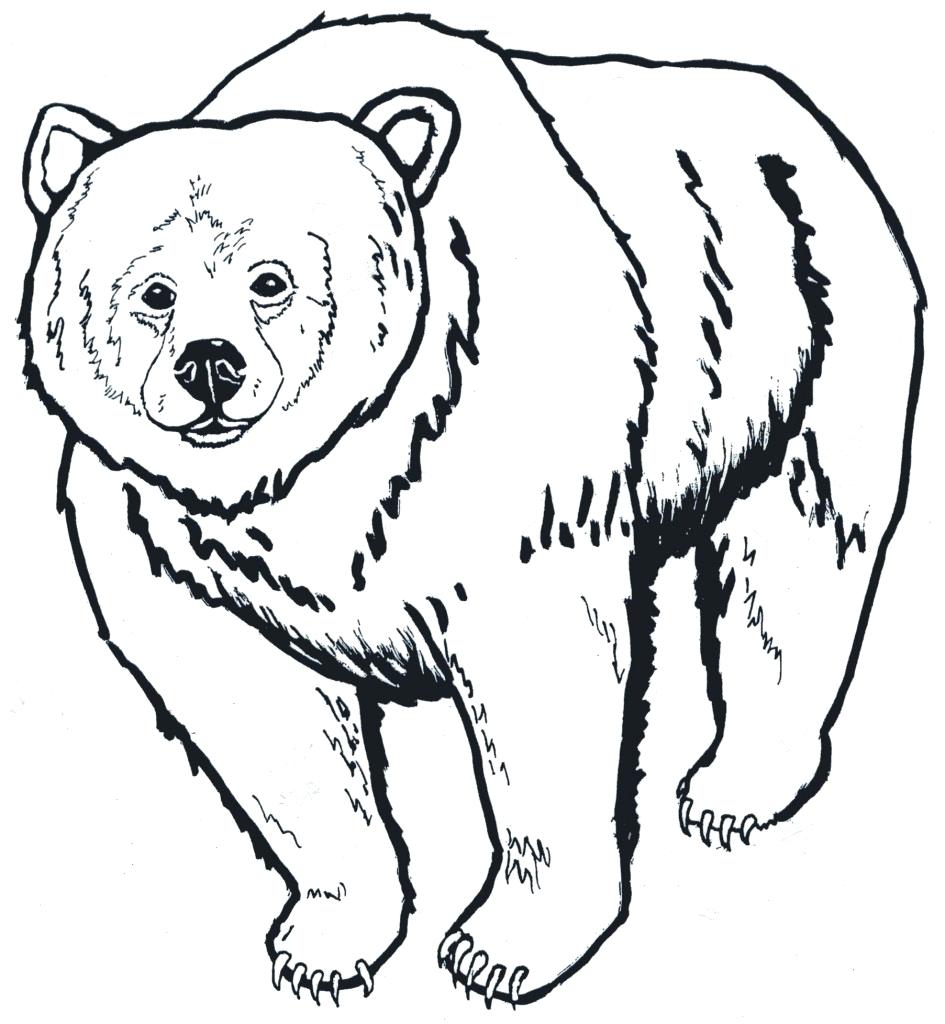 945x1024 Unique Polar Bear Outline 7