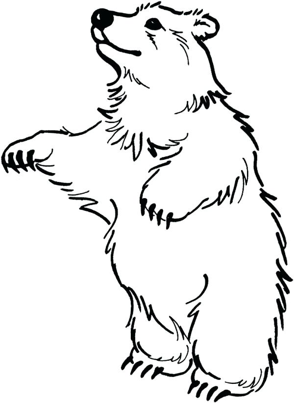600x822 Black Bear Coloring Pages Of Faces Bear Head Coloring Page