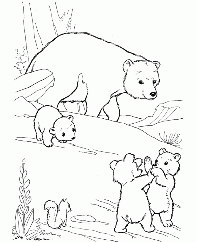 837x1024 New Coloring Pages Of Polar Bears 49