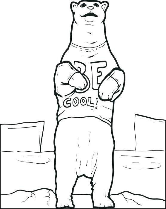 556x700 Polar Bear Coloring Pages Polar Bear Printable Coloring Book Pages