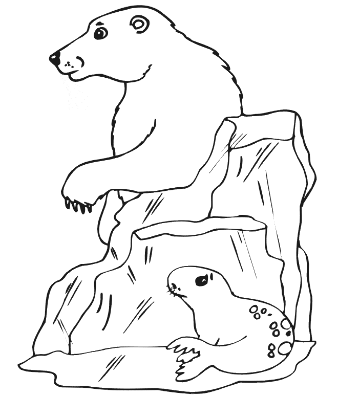 660x776 Polar Bear Coloring Page